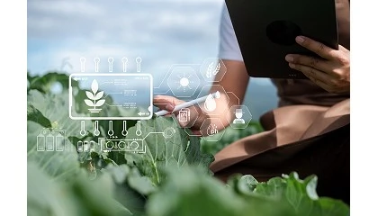 Foto de Agricultura y ganadería, entre los sectores con mayor potencial para invertir en inteligencia artificial