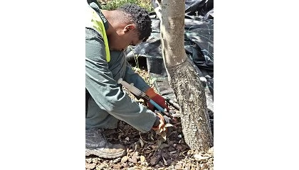 Foto de Duas dcadas de inovao ao servio do ambiente e da agricultura