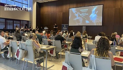 Foto de Abiertas las inscripciones para el Congreso de Medicina Felina de Centauro en Valencia