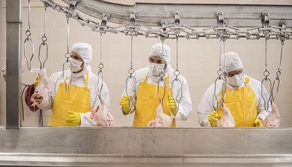 Foto de Buenas perspectivas a corto plazo para los mercados lcteos y crnicos de la UE