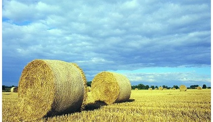 Foto de PAC 2025: los ecorregmenes se consolidan en Espaa mientras decrece el nmero de explotaciones