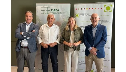 Foto de Alianza entre Cooperativas Agro-alimentarias de Andaluca y la distribucin comercial