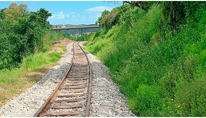 Foto de Obras pblicas: investimento de 6,2 milhes de euros refora segurana na Linha do Vouga