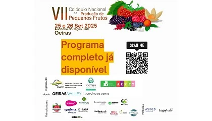 Foto de VII Col�quio Nacional destaca inova��o e desafios na produ��o de pequenos frutos