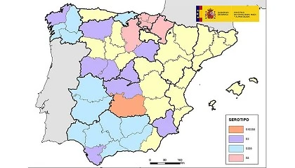 Foto de Detectados nuevos focos de lengua azul en cinco comunidades autnomas espaolas