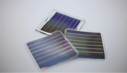 Foto de Proyecto de Eurecat para incorporar paneles fotovoltaicos orgánicos en sistemas de invernaderos