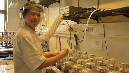 Foto de Nuevo tratamiento de purines para reducir la emisión de gases de efecto invernadero