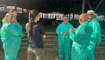 Foto de La Comunitat Valenciana destina 5,4 millones de euros para 300 explotaciones ganaderas