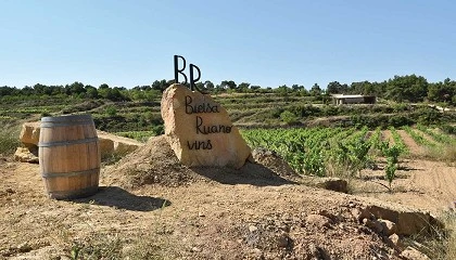 Foto de Bielsa Ruano: vino, territorio y emoción desde el corazón de la Terra Alta