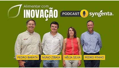 Foto de Podcast Alimentar com Inovao rene trs especialistas em tomate de indstria
