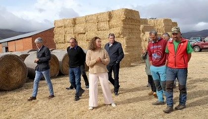 Foto de Ganaderos de Castilla y Len afectados por incendios reciben 3,85 millones de kilos de alimentos