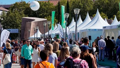 Foto de La feria VEM regresa a Madrid del 19 al 21 de septiembre