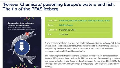 Foto de El pescado de la UE está contaminado con “sustancias químicas eternas”
