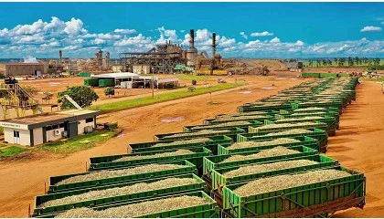 Foto de UMOE Bioenergy implementa soluciones de mantenimiento predictivo con ahorros de ms de 100.000$