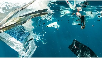 Foto de Embalagens alimentares e rotulagem ambiental: normas nacionais e europeias