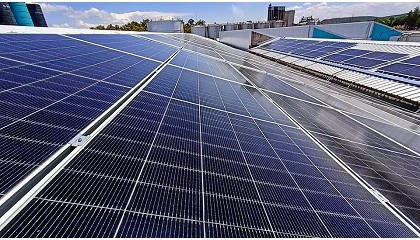 Foto de Sovena refora aposta na descarbonizao com novas instalaes fotovoltaicas