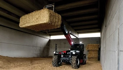 Foto de The Very Best: STET