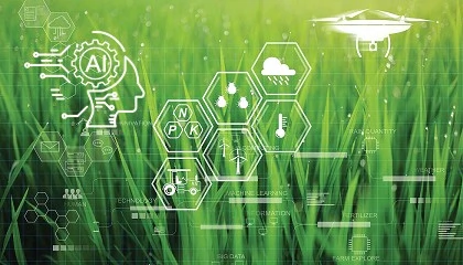 Foto de Jardines impecables con menos esfuerzo: la revolución de la automatización en el mantenimiento verde