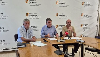 Foto de El serotipo 3 de la lengua azul salta a Mallorca y el Govern anuncia el inicio de la vacunacin