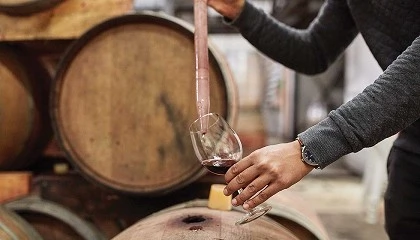 Foto de Importancia de la gestin Redox post-fermentacin: estrategias de preservacin de la calidad organolptica