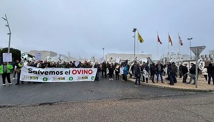 Foto de UCCL exige contratos de larga duracin y precios justos en el sector del ovino lechero
