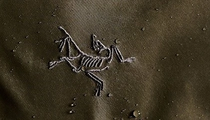 Foto de Amer Sports eleva su previsin de ingresos con un fuerte impulso de Arcteryx y Salomon