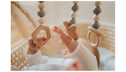 Foto de Características clave en los Juguetes de 1ª Infancia