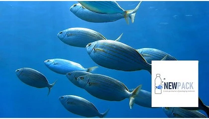 Foto de Projeto NEWPACK | Sovena desenvolve biopolmeros com valor nutritivo marinho