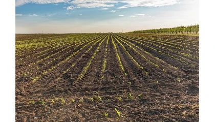 Foto de Congreso Gestin Sostenible del Suelo 2025 (8 de octubre): Bioestimulantes y tecnologa, una combinacin revolucionaria