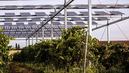 Foto de SOLARWINE pone en marcha dos plantas piloto para avanzar hacia una viticultura más sostenible