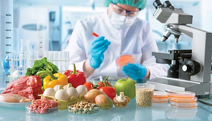 Foto de Ingredientes, inteligencia (artificial), clean label y resiliencia agritech, claves del futuro de la alimentaci�n