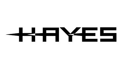 Foto de Hayes busca un contable para su sede alemana