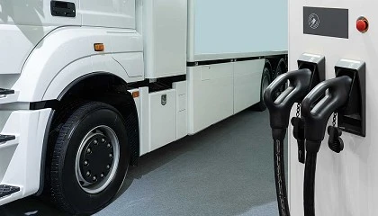 Foto de Una tmida presencia