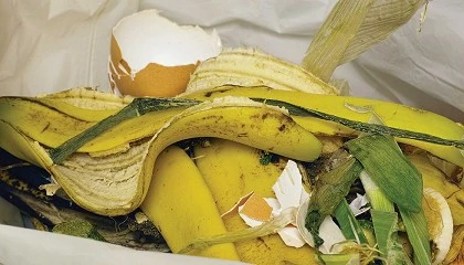 Foto de Auchan reduz desperdcio alimentar em 19%