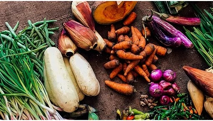 Foto de FIPA refora presena da Estratgia Nacional de Combate ao Desperdcio Alimentar 2025+