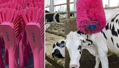 Foto de DeLaval Espaa y Portugal contina apoyando la lucha contra el cncer de mama