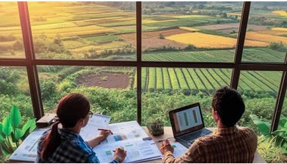 Foto de El Marketing Intelligence minimiza la volatilidad de los mercados agroalimentarios