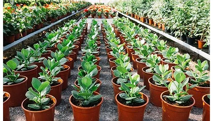 Foto de El nuevo marco de residuos y envases obliga al sector verde a reinventar su modelo de produccin y comercializacin