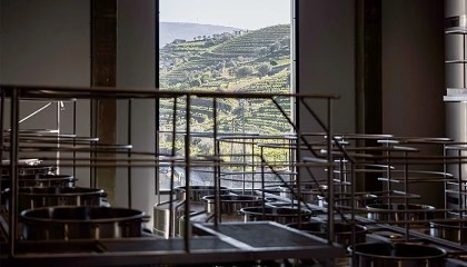 Foto de Novo investimento: Centro de Vinifica��o do Vale do Douro j� arrancou para a primeira vindima