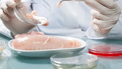 Foto de Detectan bacterias multirresistentes en carne fresca comercializada en España