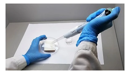 Foto de Ivace+i impulsa el desarrollo de nuevas superficies cermicas capaces de eliminar la presencia de virus