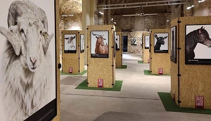 Foto de El Roadshow Bestiarium de Interovic llega a San Lorenzo de El Escorial (Madrid)