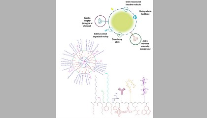 Foto de Recubrimientos bio-basados con propiedades anticorrosivas y de alta barrera