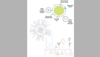 Foto de Recubrimientos bio-basados con propiedades anticorrosivas y de alta barrera