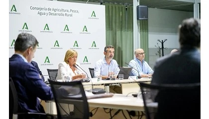 Foto de Andaluca analiza el reparto de ayudas para paliar efectos derivados de mildiu, parvispinus, algodoncillo y lengua azul