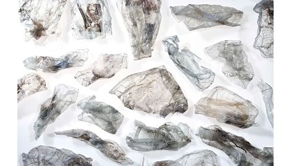 Foto de Reciclagem tray-to-tray': tecnologia, escala e desafios