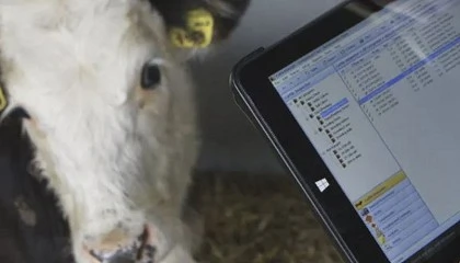 Foto de Curso gratuito del Ifapa sobre ganadera de precisin y digitalizacin de las explotaciones