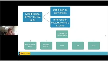 Foto de Novedades en la PAC para el sector ovino y caprino
