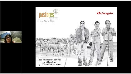 Foto de Evaluacin del bienestar animal a travs de la evolucin del peso vivo: proyecto TechCare