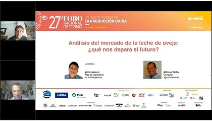 Foto de Anlisis del mercado de la leche de oveja: qu nos depara el futuro?
